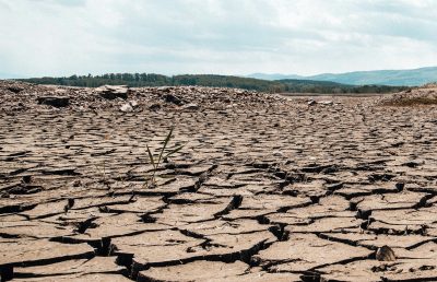 A dry landscape of cracked mud suggesting drought conditions, with trees visible on the horizon.